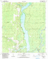 Dead Lakes Florida Historical topographic map, 1:24000 scale, 7.5 X 7.5 Minute, Year 1990