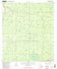 Deep Creek Florida Historical topographic map, 1:24000 scale, 7.5 X 7.5 Minute, Year 1994
