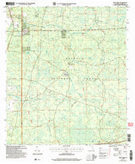 Deep Creek Florida Historical topographic map, 1:24000 scale, 7.5 X 7.5 Minute, Year 2005