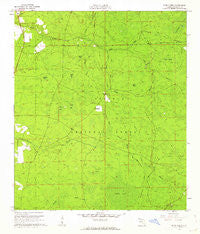 Deep Creek Florida Historical topographic map, 1:24000 scale, 7.5 X 7.5 Minute, Year 1961