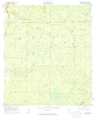 Deep Creek Florida Historical topographic map, 1:24000 scale, 7.5 X 7.5 Minute, Year 1961