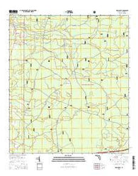 Deep Creek Florida Current topographic map, 1:24000 scale, 7.5 X 7.5 Minute, Year 2015