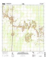 Deep Lake Florida Current topographic map, 1:24000 scale, 7.5 X 7.5 Minute, Year 2015