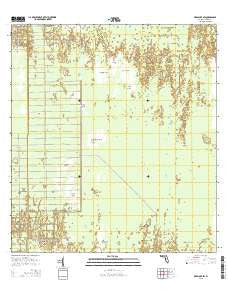 Deep Lake SW Florida Current topographic map, 1:24000 scale, 7.5 X 7.5 Minute, Year 2015
