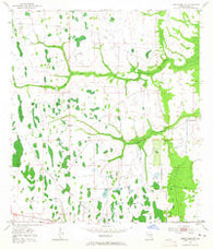 Deer Park NW Florida Historical topographic map, 1:24000 scale, 7.5 X 7.5 Minute, Year 1953
