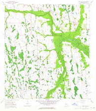 Deer Park Florida Historical topographic map, 1:24000 scale, 7.5 X 7.5 Minute, Year 1953