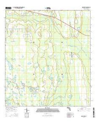 Deer Park Florida Current topographic map, 1:24000 scale, 7.5 X 7.5 Minute, Year 2015