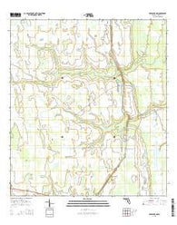 Deer Park NW Florida Current topographic map, 1:24000 scale, 7.5 X 7.5 Minute, Year 2015