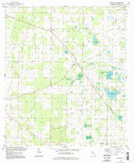 Dellwood Florida Historical topographic map, 1:24000 scale, 7.5 X 7.5 Minute, Year 1994