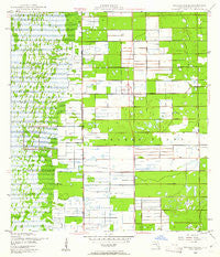 Delmar Farms Florida Historical topographic map, 1:24000 scale, 7.5 X 7.5 Minute, Year 1947