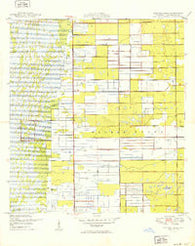 Delmar Farms Florida Historical topographic map, 1:24000 scale, 7.5 X 7.5 Minute, Year 1949