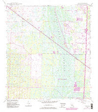 Delta Florida Historical topographic map, 1:24000 scale, 7.5 X 7.5 Minute, Year 1945