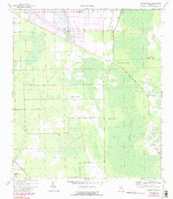 Dinner Island Florida Historical topographic map, 1:24000 scale, 7.5 X 7.5 Minute, Year 1970