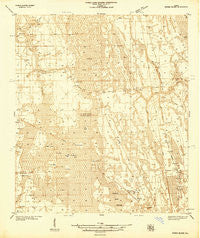 Dinner Island Florida Historical topographic map, 1:48000 scale, 15 X 15 Minute, Year 1937
