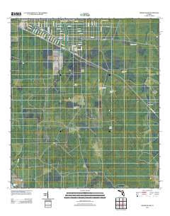 Dinner Island Florida Historical topographic map, 1:24000 scale, 7.5 X 7.5 Minute, Year 2012