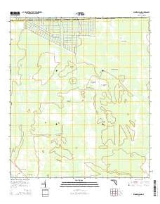 Dinner Island Florida Current topographic map, 1:24000 scale, 7.5 X 7.5 Minute, Year 2015