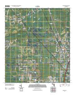 Dinsmore Florida Historical topographic map, 1:24000 scale, 7.5 X 7.5 Minute, Year 2012