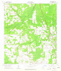 Dinsmore Florida Historical topographic map, 1:24000 scale, 7.5 X 7.5 Minute, Year 1964