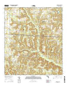 Dogtown Florida Current topographic map, 1:24000 scale, 7.5 X 7.5 Minute, Year 2015
