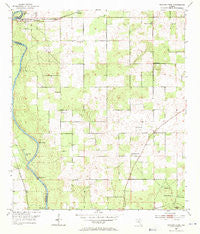 Dowling Park Florida Historical topographic map, 1:24000 scale, 7.5 X 7.5 Minute, Year 1954