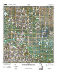 Dunnellon Florida Historical topographic map, 1:24000 scale, 7.5 X 7.5 Minute, Year 2012