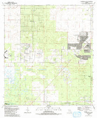 Dunnellon SE Florida Historical topographic map, 1:24000 scale, 7.5 X 7.5 Minute, Year 1991