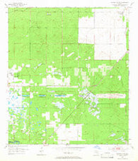 Dunnellon SE Florida Historical topographic map, 1:24000 scale, 7.5 X 7.5 Minute, Year 1954
