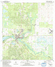 Dunnellon Florida Historical topographic map, 1:24000 scale, 7.5 X 7.5 Minute, Year 1991