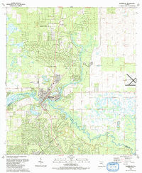 Dunnellon Florida Historical topographic map, 1:24000 scale, 7.5 X 7.5 Minute, Year 1991