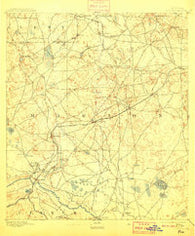 Dunnellon Florida Historical topographic map, 1:62500 scale, 15 X 15 Minute, Year 1894
