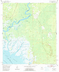 East Pass Florida Historical topographic map, 1:24000 scale, 7.5 X 7.5 Minute, Year 1954