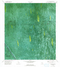 East of Deem City Florida Historical topographic map, 1:24000 scale, 7.5 X 7.5 Minute, Year 1973