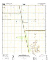 East of Little Cypress Swamp Florida Current topographic map, 1:24000 scale, 7.5 X 7.5 Minute, Year 2015