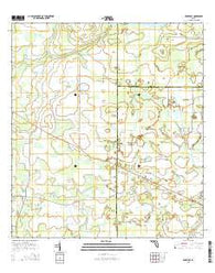 Edgeville Florida Current topographic map, 1:24000 scale, 7.5 X 7.5 Minute, Year 2015