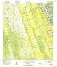 Edgewater Florida Historical topographic map, 1:24000 scale, 7.5 X 7.5 Minute, Year 1950