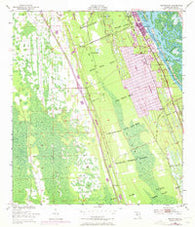 Edgewater Florida Historical topographic map, 1:24000 scale, 7.5 X 7.5 Minute, Year 1950