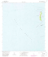 Egmont Key Florida Historical topographic map, 1:24000 scale, 7.5 X 7.5 Minute, Year 1964