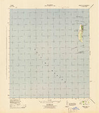 Egmont Key Florida Historical topographic map, 1:31680 scale, 7.5 X 7.5 Minute, Year 1944