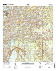Elfers Florida Current topographic map, 1:24000 scale, 7.5 X 7.5 Minute, Year 2015