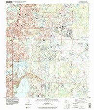 Elfers Florida Historical topographic map, 1:24000 scale, 7.5 X 7.5 Minute, Year 1998
