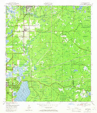 Elfers Florida Historical topographic map, 1:24000 scale, 7.5 X 7.5 Minute, Year 1943