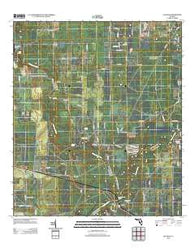 Ellaville Florida Historical topographic map, 1:24000 scale, 7.5 X 7.5 Minute, Year 2012