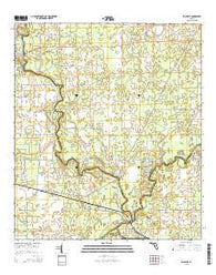 Ellaville Florida Current topographic map, 1:24000 scale, 7.5 X 7.5 Minute, Year 2015