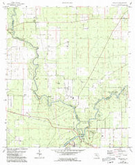 Ellaville Florida Historical topographic map, 1:24000 scale, 7.5 X 7.5 Minute, Year 1959
