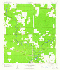 Ellaville Florida Historical topographic map, 1:24000 scale, 7.5 X 7.5 Minute, Year 1959