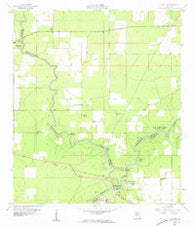 Ellaville Florida Historical topographic map, 1:24000 scale, 7.5 X 7.5 Minute, Year 1959