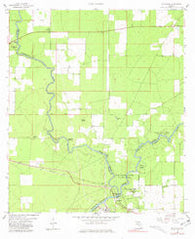 Ellaville Florida Historical topographic map, 1:24000 scale, 7.5 X 7.5 Minute, Year 1959