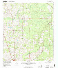Ellisville Florida Historical topographic map, 1:24000 scale, 7.5 X 7.5 Minute, Year 1994