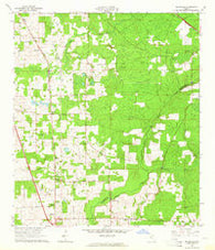 Ellisville Florida Historical topographic map, 1:24000 scale, 7.5 X 7.5 Minute, Year 1963