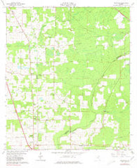 Ellisville Florida Historical topographic map, 1:24000 scale, 7.5 X 7.5 Minute, Year 1963